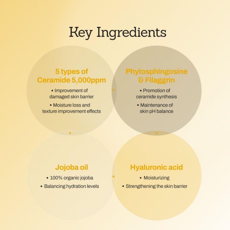 Crema MEDITHERAPY de barrera de ceramida de jojoba reparación intensiva 100 ml