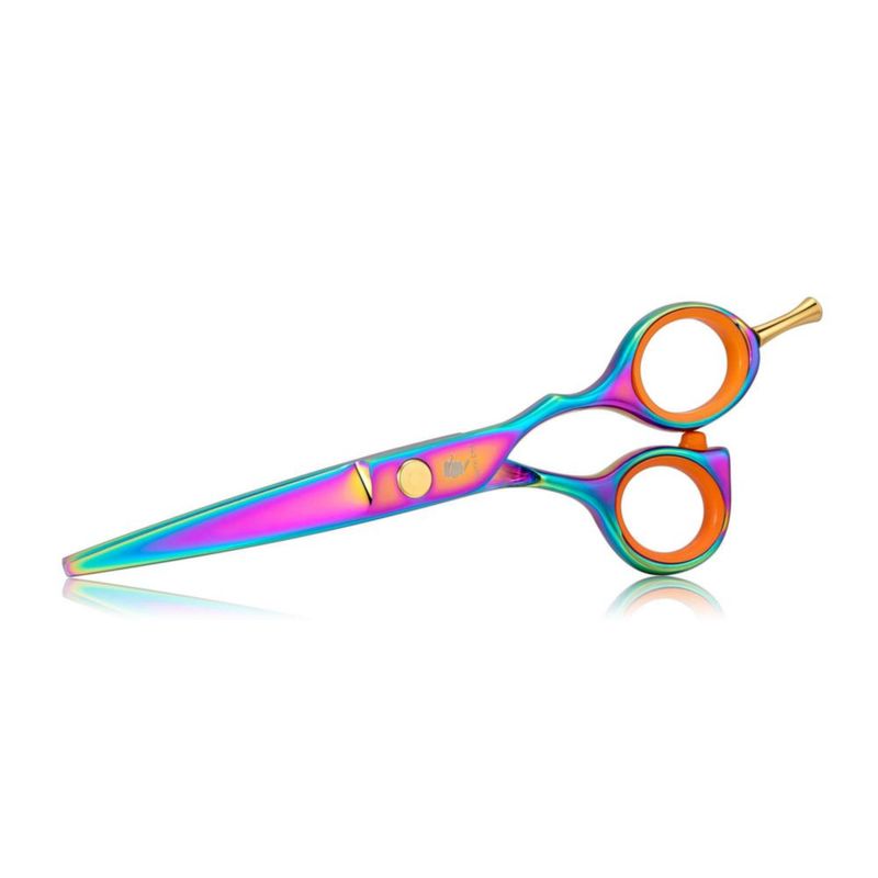 Tijeras Smith Chu 14 cm Arcoíris de Acero Inoxidable