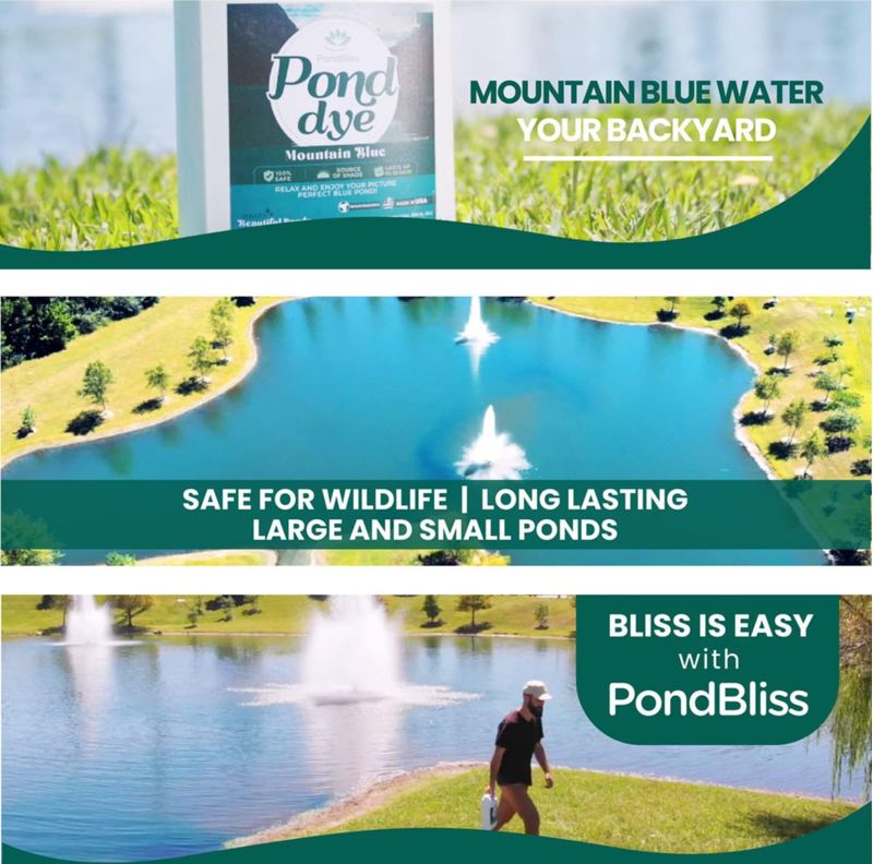 Tinte para Estanques PondBliss 946 ml Azul Seguro para Peces