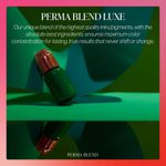 Tinta de tatuaje Perma Blend Luxe Negro Modificado 15 ml