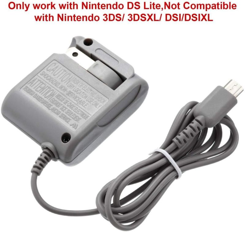 Cargador DS Lite Importer520 100 V‑240 V