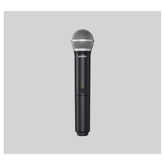Micrófono Shure Inalambrico Con Receptor Blx24/pg58