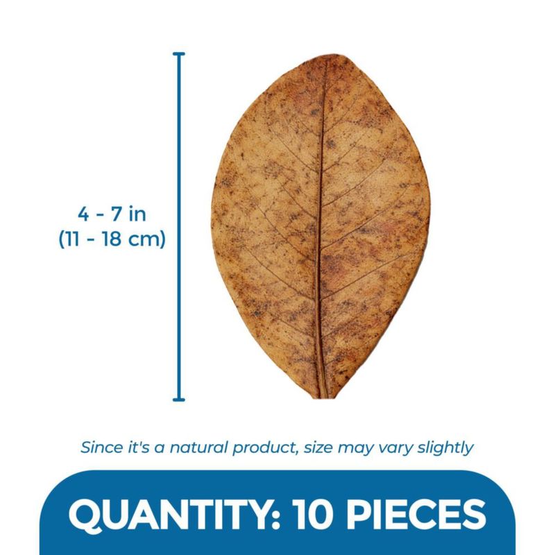Hojas SunGrow para Betta 10 unidades 10‑18 cm – Condicionador de agua