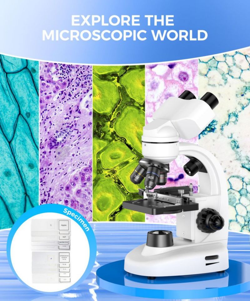 Microscopio Binocular PalliPartners 40X-2000X – Kit