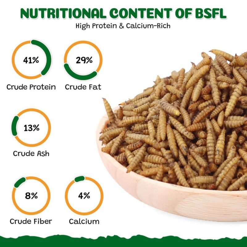 Alimento para mascotas BENEYUMI Larvas 23 kg alto en proteína