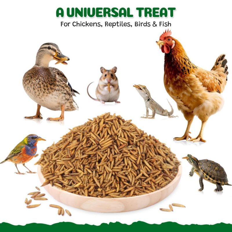 Alimento para mascotas BENEYUMI Larvas 23 kg alto en proteína
