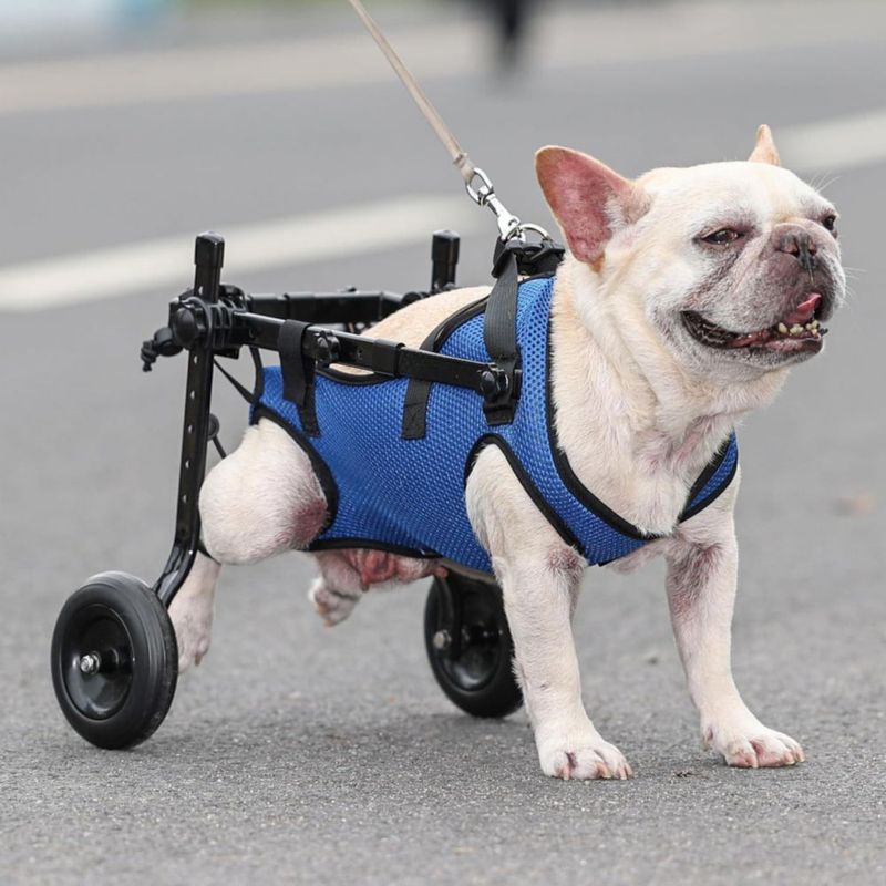 Silla de ruedas para perros genérica talla S (38‑45 cm) para apoyo de patas traseras
