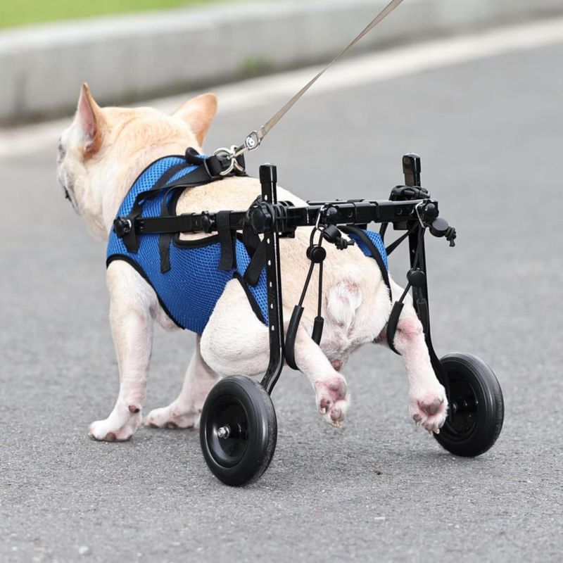 Silla de ruedas para perros genérica talla S (38‑45 cm) para apoyo de patas traseras