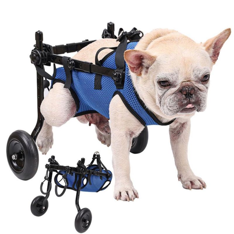Silla de ruedas para perros genérica talla S (38‑45 cm) para apoyo de patas traseras