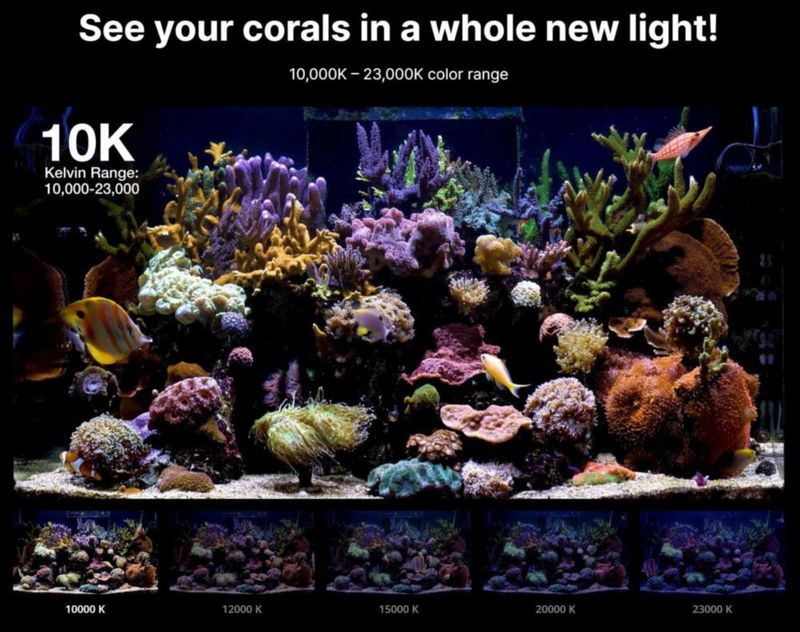 Luz para Acuario Red Sea ReefLED G2 60W con App ReefBeat