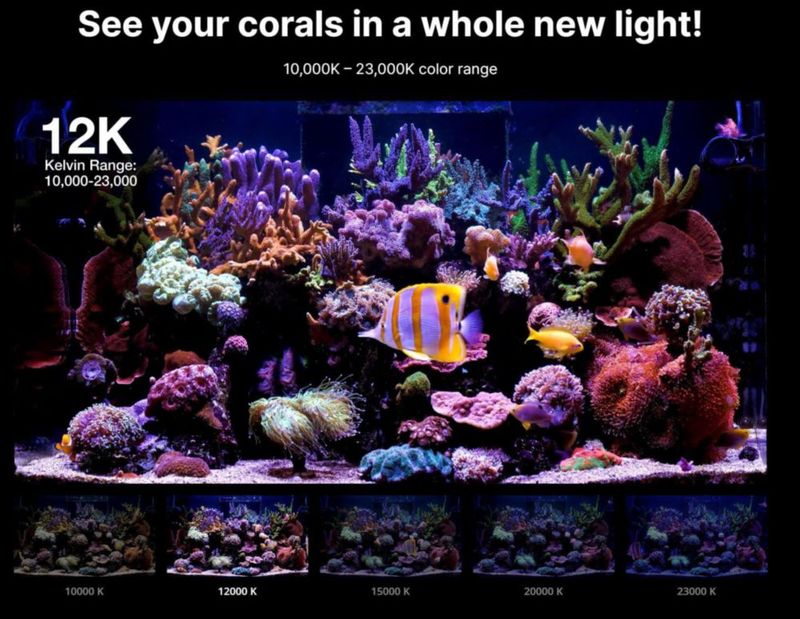 Luz para Acuario Red Sea ReefLED G2 60W con App ReefBeat