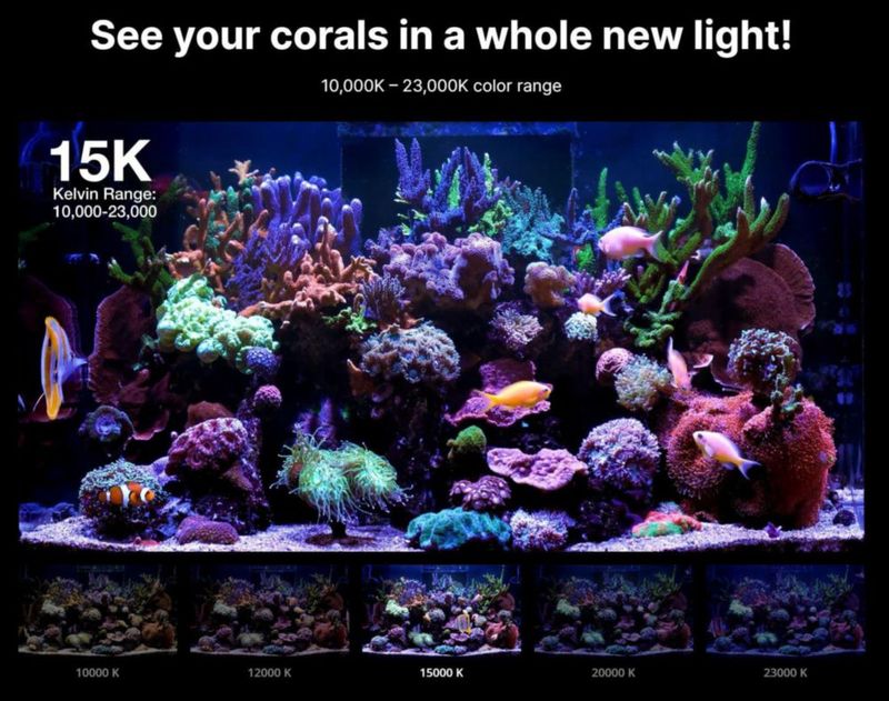Luz para Acuario Red Sea ReefLED G2 60W con App ReefBeat