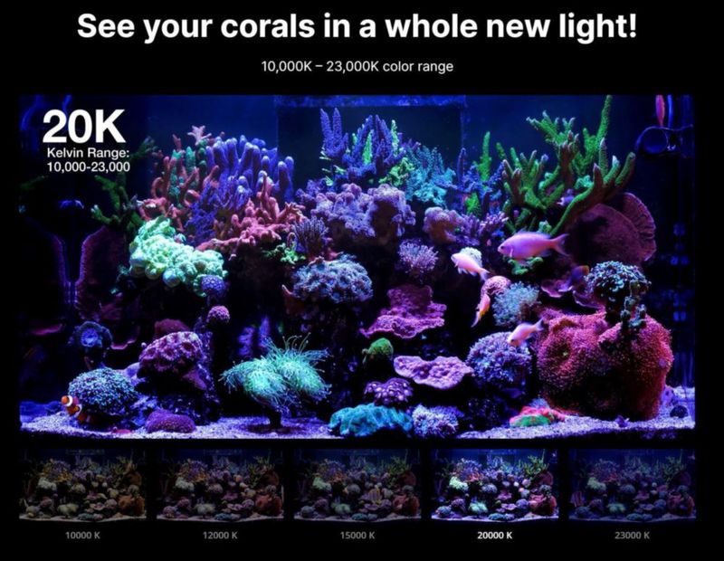 Luz para Acuario Red Sea ReefLED G2 60W con App ReefBeat