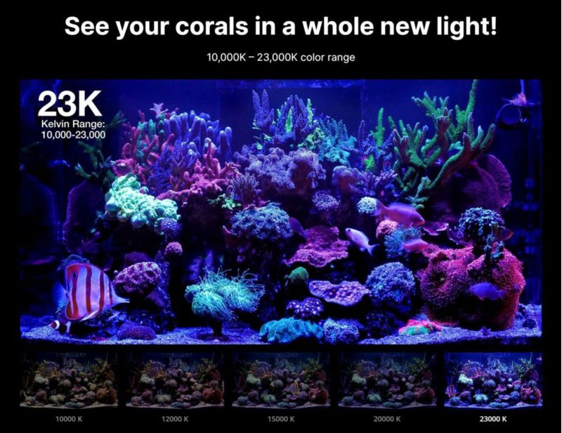 Luz para Acuario Red Sea ReefLED G2 60W con App ReefBeat