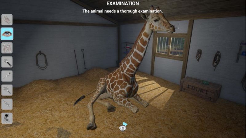Juego PS5 – Mi práctica veterinaria en el zoológico – Funbox Media