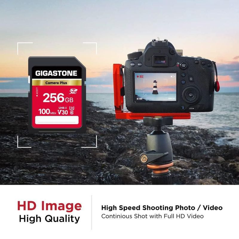 Tarjeta SD Gigastone Camera Plus de 256 GB memoria V30 SDXC paquete de 2