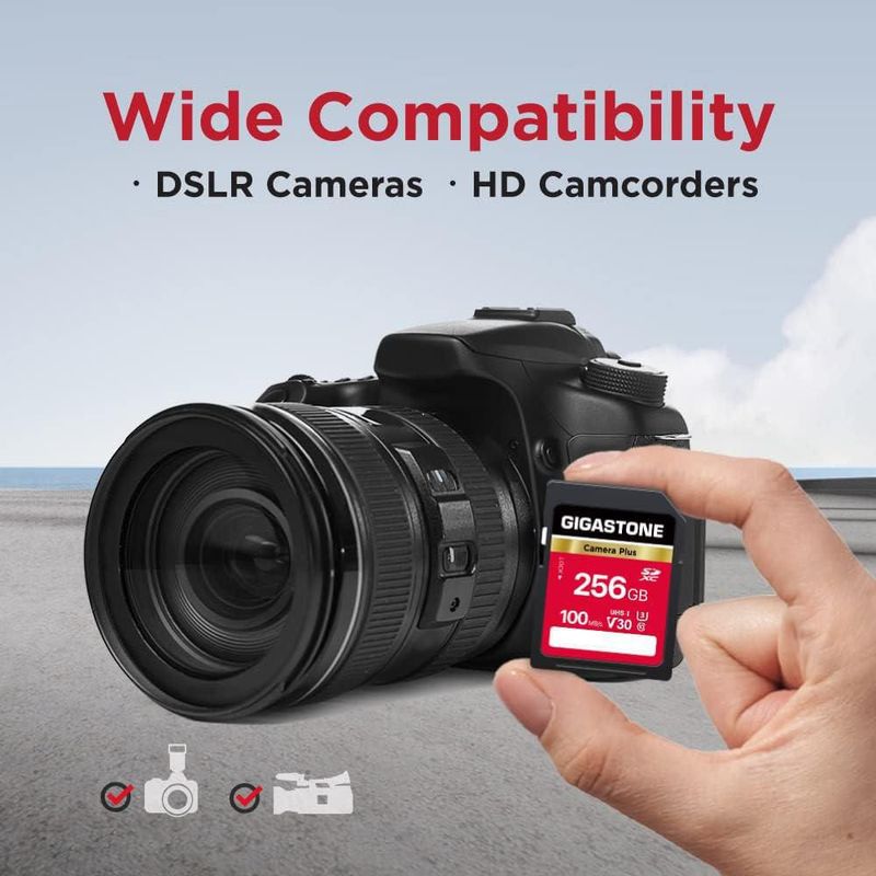 Tarjeta SD Gigastone Camera Plus de 256 GB memoria V30 SDXC paquete de 2