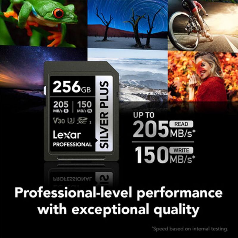 Tarjeta de memoria Lexar Silver Plus 256 GB SDXC UHS-I