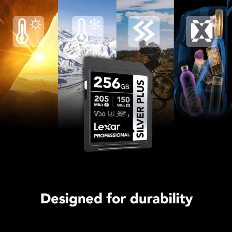 Tarjeta de memoria Lexar Silver Plus 256 GB SDXC UHS-I