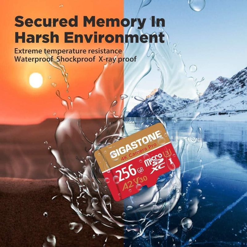 Tarjeta microSD Gigastone 256 GB A2 V30 UHS-I U3 100 MB/s