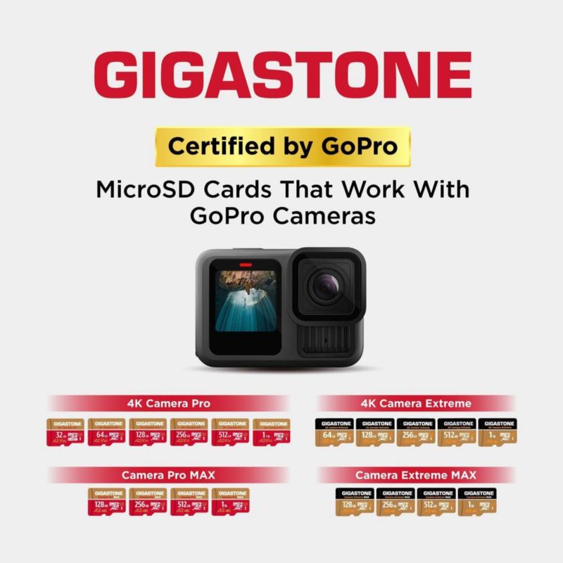 Tarjeta microSD Gigastone 256 GB A2 V30 UHS-I U3 100 MB/s