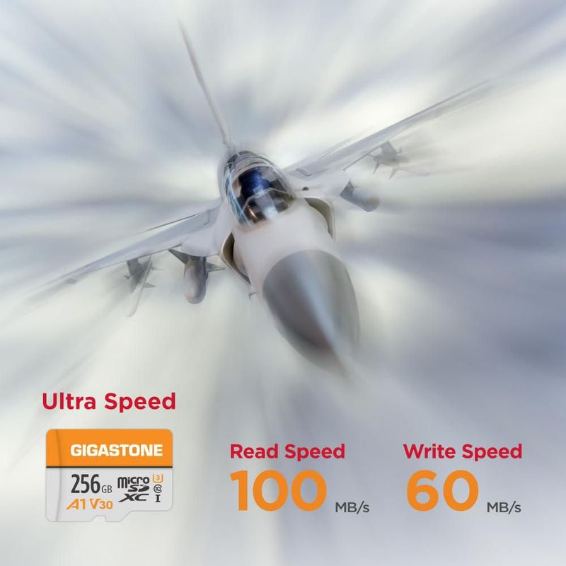 Tarjeta Micro SD Gigastone 256GB A1 V30 Paquete de 2 100MB/s