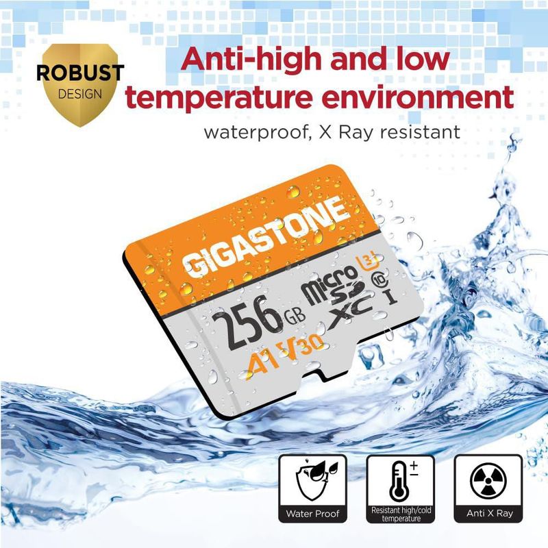 Tarjeta Micro SD Gigastone 256GB A1 V30 Paquete de 2 100MB/s