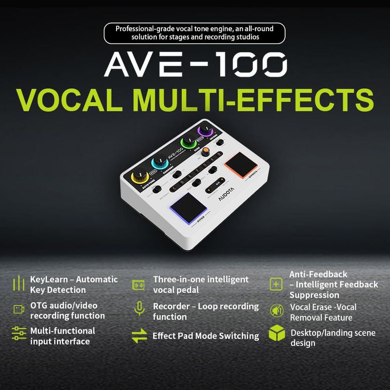 Procesador Vocal Audota AVE-100 Multi-Efectos con Looper OTG