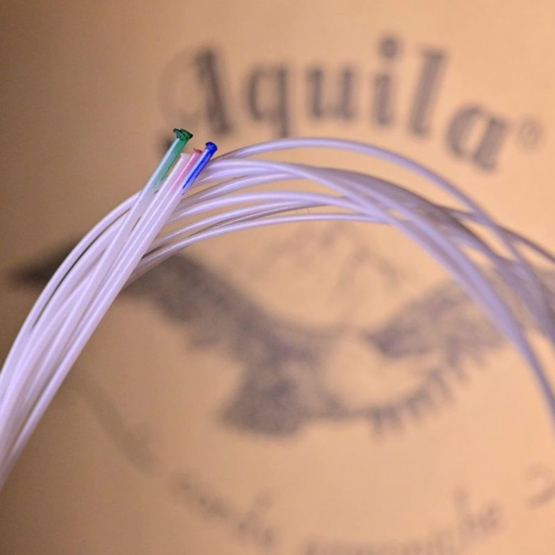 Cuerdas de ukelele Aquila AQ-10 New Nylgut (G alto)