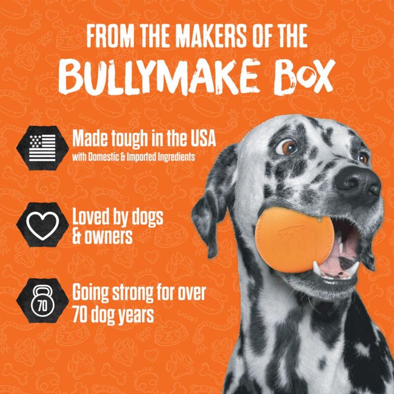Juguete para Perro BULLYMAKE Steak de Nylon Resistente