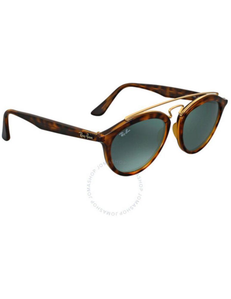 Anteojos Lentes de Sol Ray Ban Gatsby 2 RB4257 Tortuga/Verde Clásico 53-19