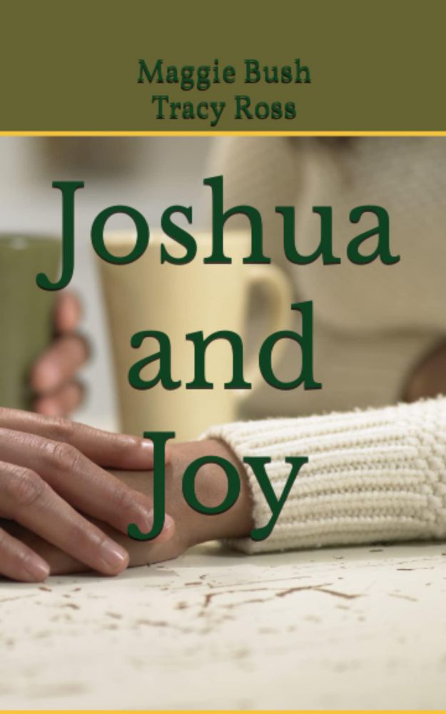 Libro Majosta Joshua y Joy (serie Joshua y Joy)