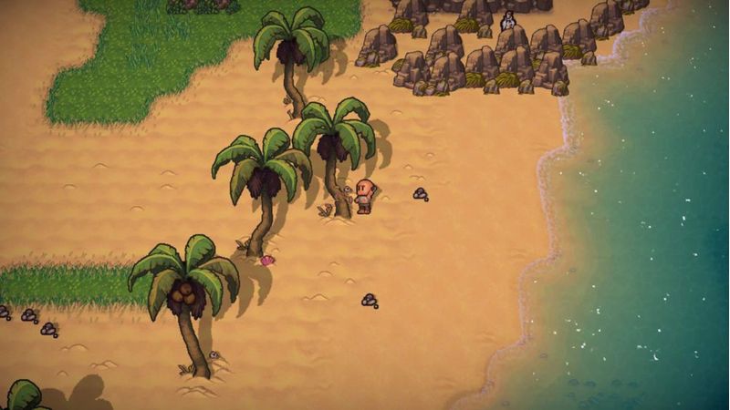 The Survivalists – Nintendo Switch