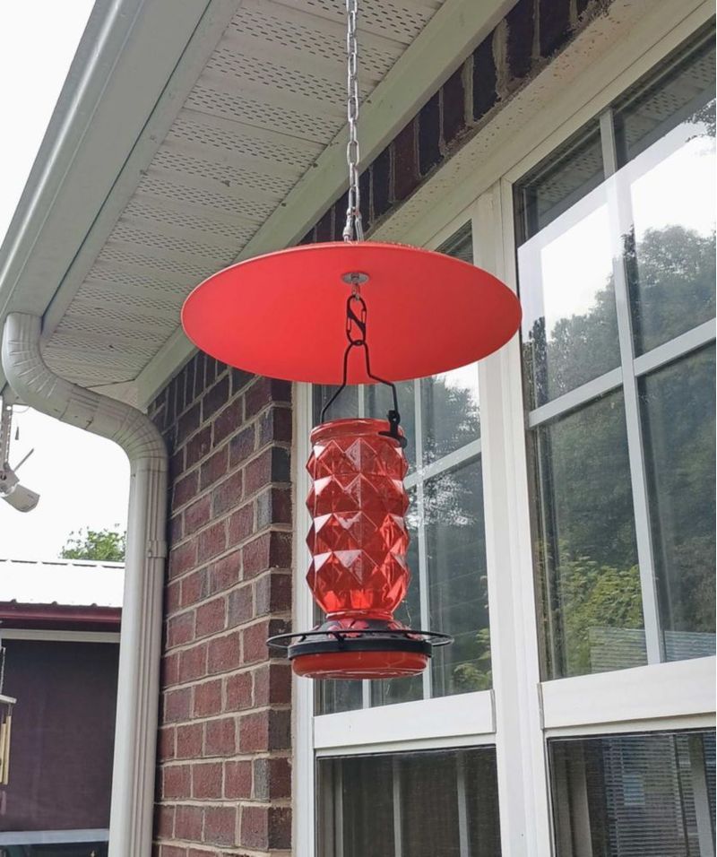 Alimentador para pájaros andergi 30 cm Protector de lluvia 4 piezas (rojo)