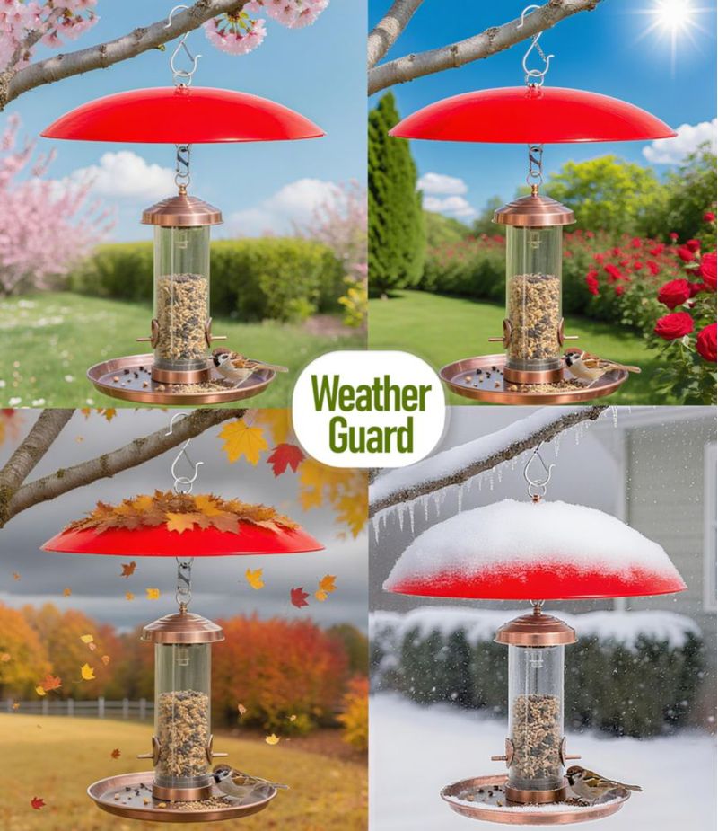 Alimentador para pájaros andergi 30 cm Protector de lluvia 4 piezas (rojo)