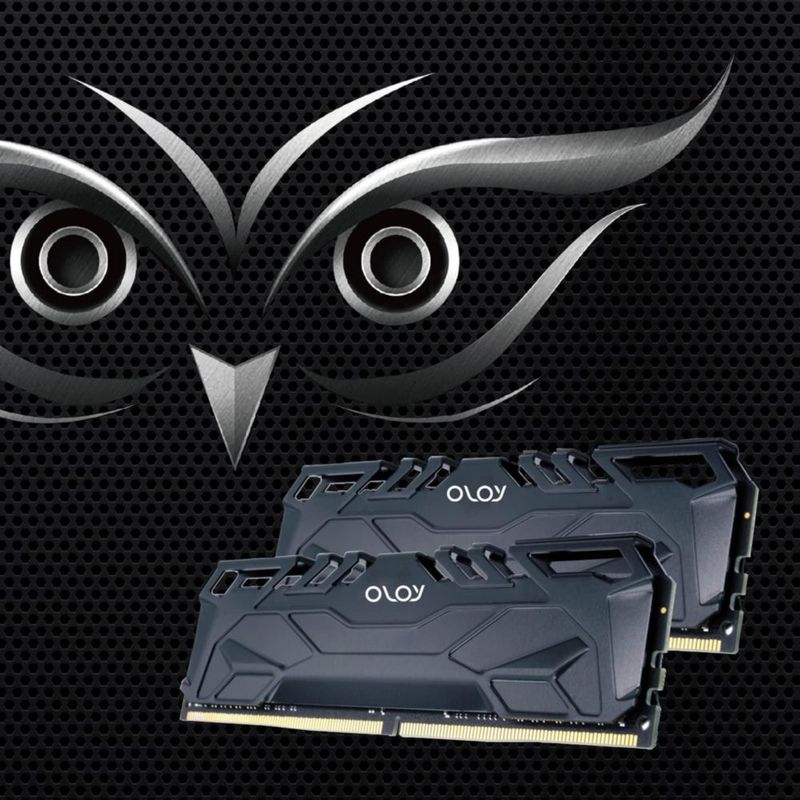Memoria RAM OLOy DDR4 16 GB 2666 MHz CL19 288‑Pin UDIMM