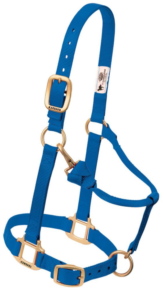 Cabezadura Ajustable Weaver Equine Azul para Potrillos de Nylon