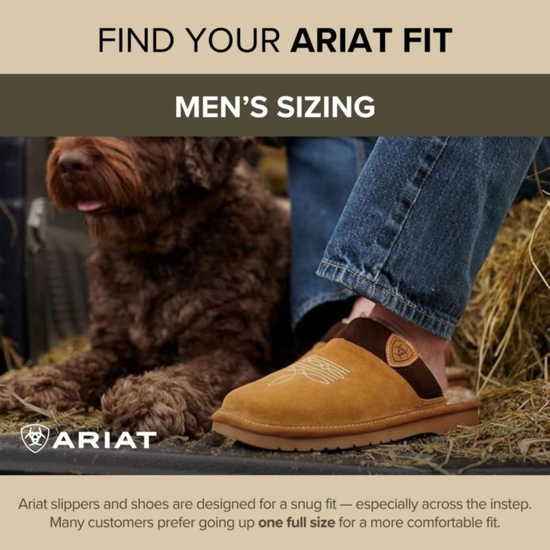 Pantufla ARIAT Lasso para hombre 28 cm gamuza color castaña