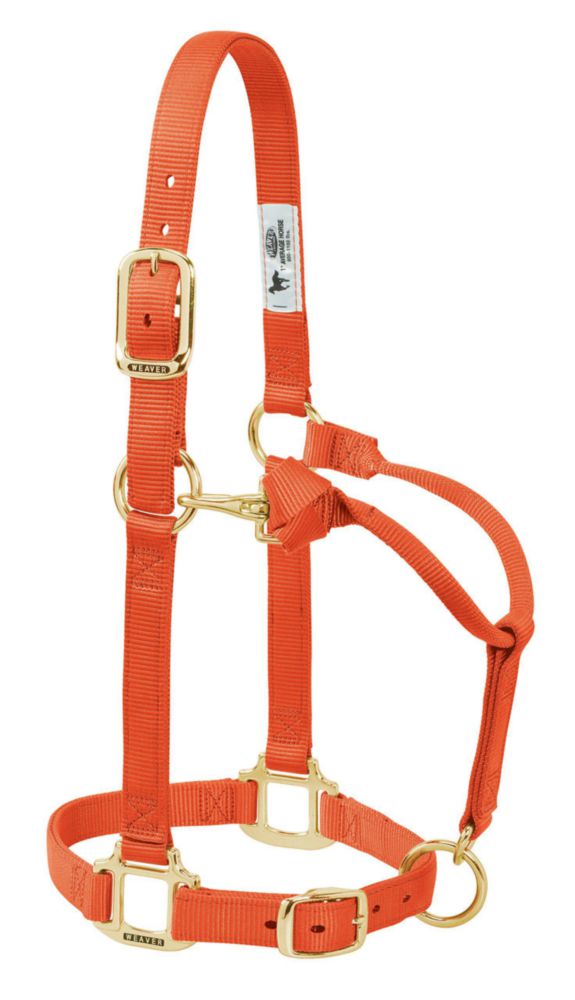 Cabezada para caballo Weaver Equine Suckling naranja