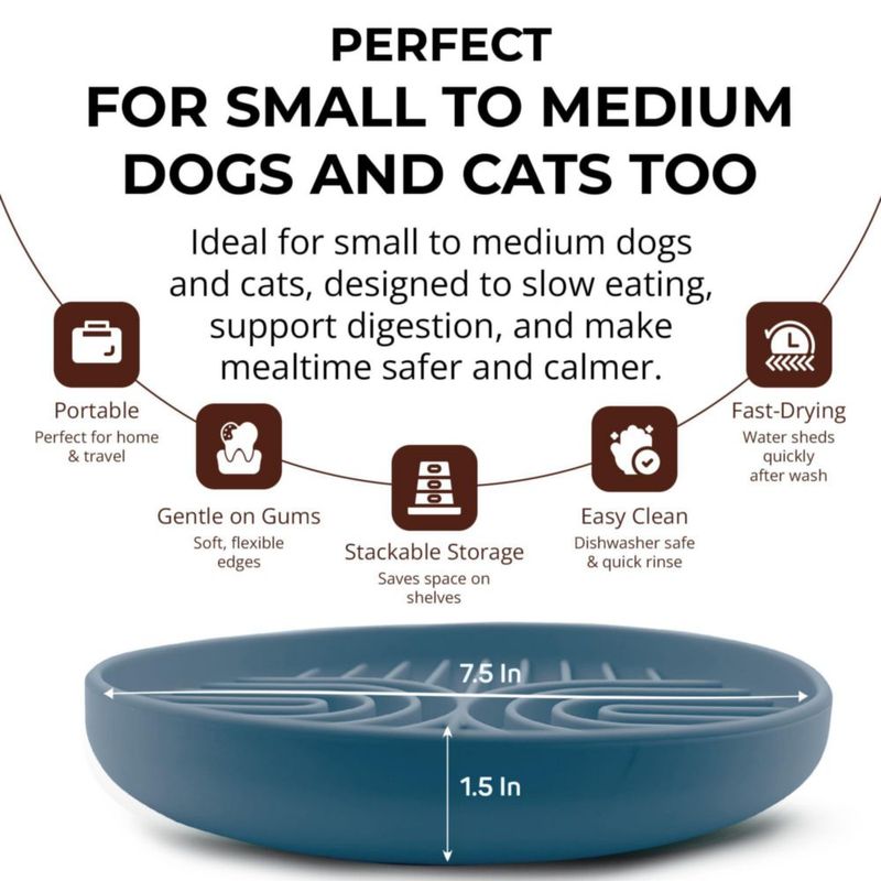 Cuenco de Silicona Fur-Brained Alimentador Lento para Perros de Raza Pequeña