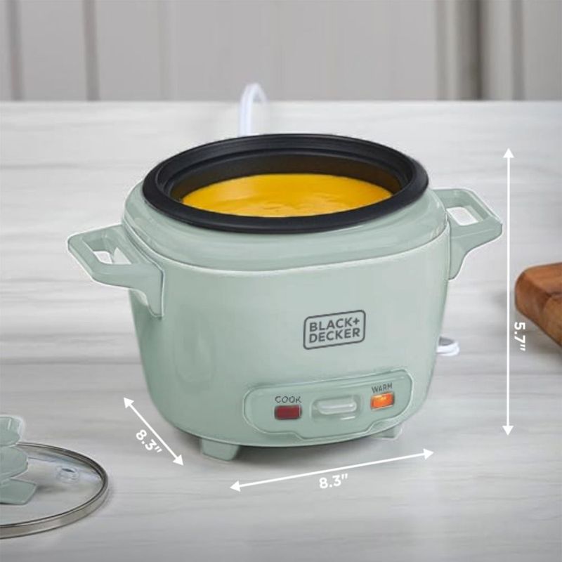 Arrocera BLACK+DECKER 3 tazas Surf Spray
