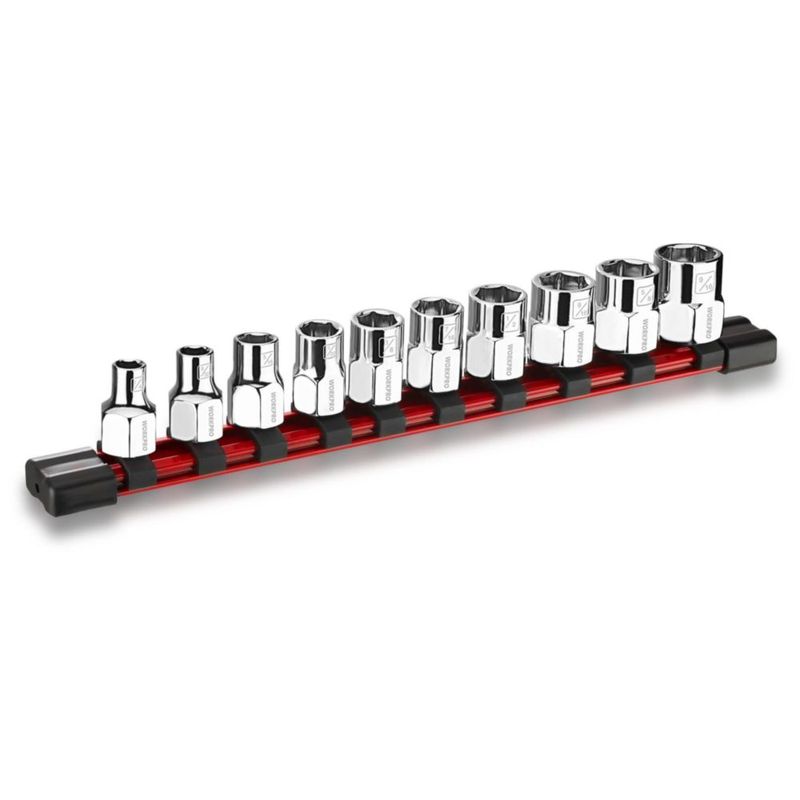 Juego de vasos WORKPRO 3/8" 10 piezas organizador de cromo‑vanadio