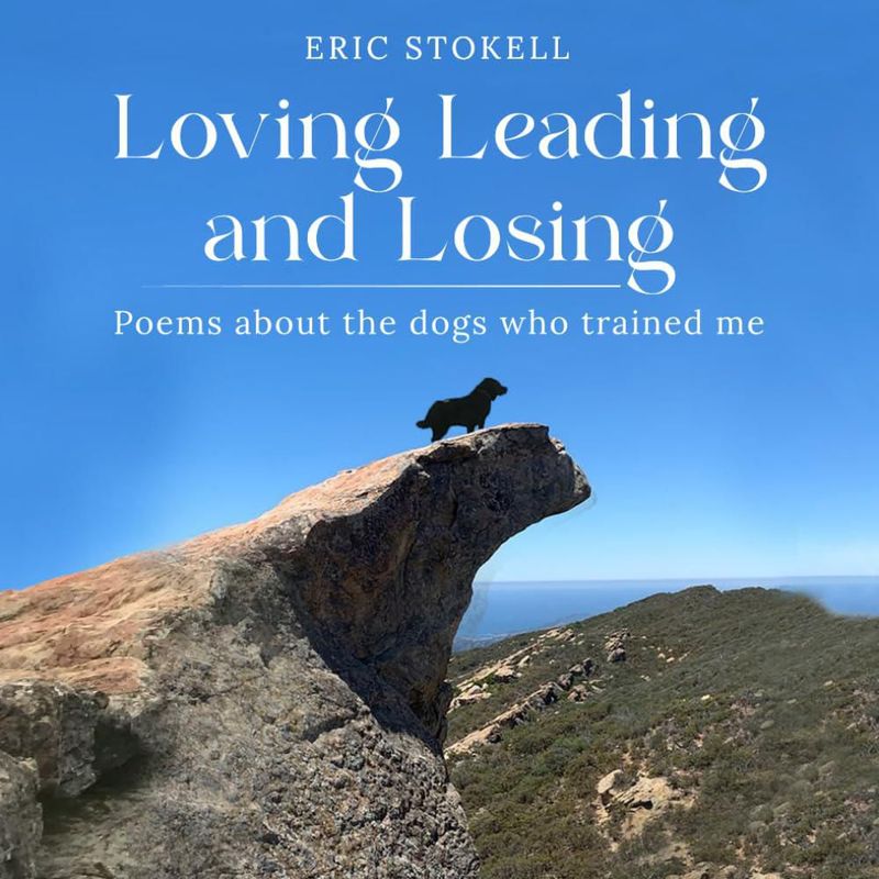 Libro Majosta "Loving Leading and Losing": Poemas