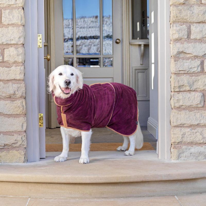 Bata para Perro Lucky Pooch XXXL Ciruela de Microfibra Absorbente