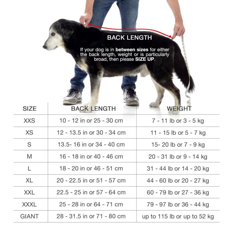 Bata para Perro Lucky Pooch XXXL Ciruela de Microfibra Absorbente