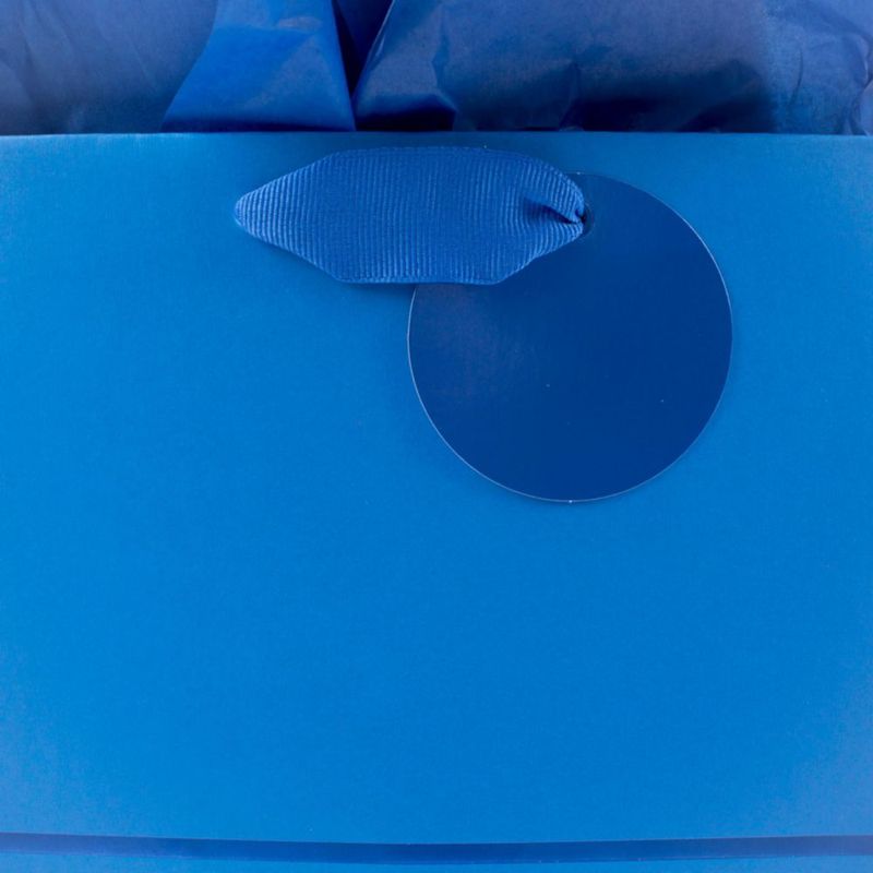 Bolsa de Regalo Hallmark 23 cm Rayas Azules con Foil y Papel de Seda