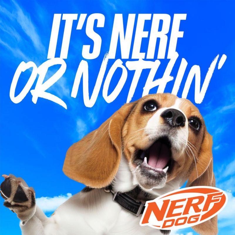 Juguete para perro Nerf Dog 48 cm Vórtice Cadena de Tirón Arcoíris