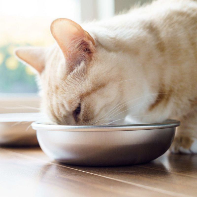 Juego de 2 platos para gato de 14 cm – Acero inoxidable – Americat Company