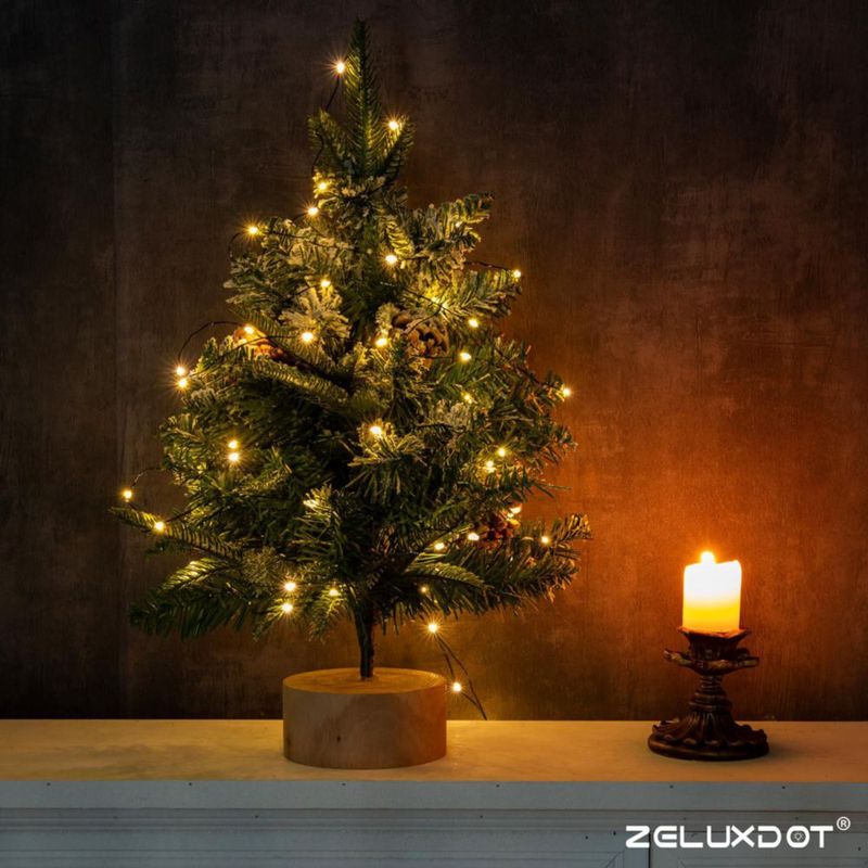 Luces de cadena ZELUXDOT 30 m 300 LED blanco cálido