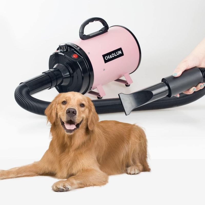 Secador para perros CHAOLUN 2400W 120V rosa con calefacción